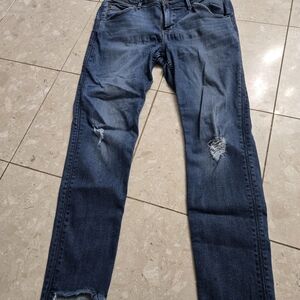 Women's Hudson Cat Midrise Skinny With Step Hem Jean 29